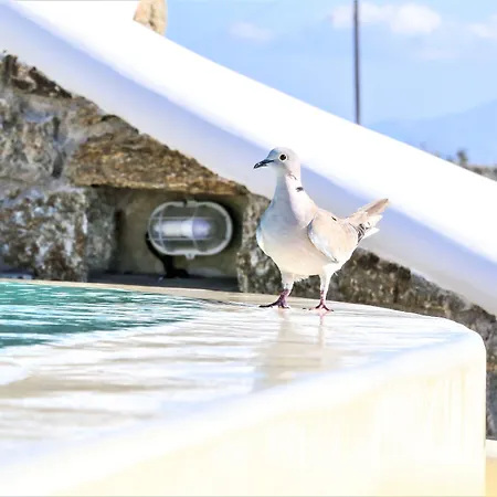 Evi & * Mykonos Town