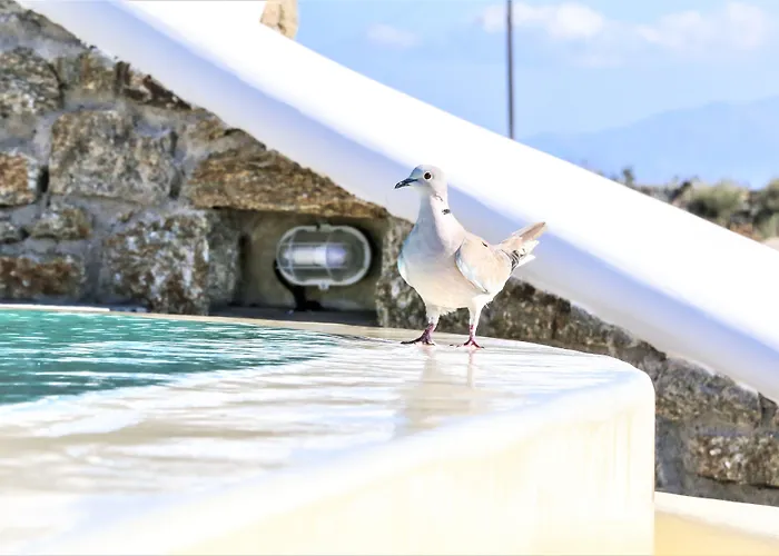 Evi & * Mykonos Town